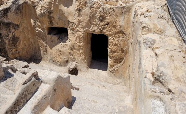 צילום: איליה בורדה, רשות הטבע והגנים