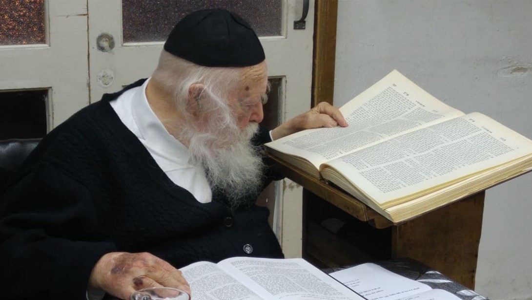 (Credit: Shuki Lerer and Orchot Yosher)