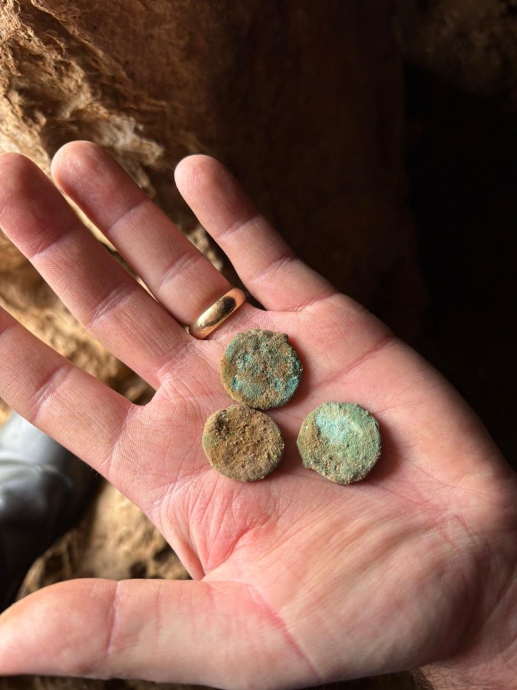 המטבעות שאותרו במערה בבנימין (צילום: רותי ליברמן ושרה פאליי)
