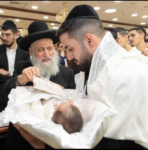 שקד רחמים (צילום: יאיר רוזנברג)