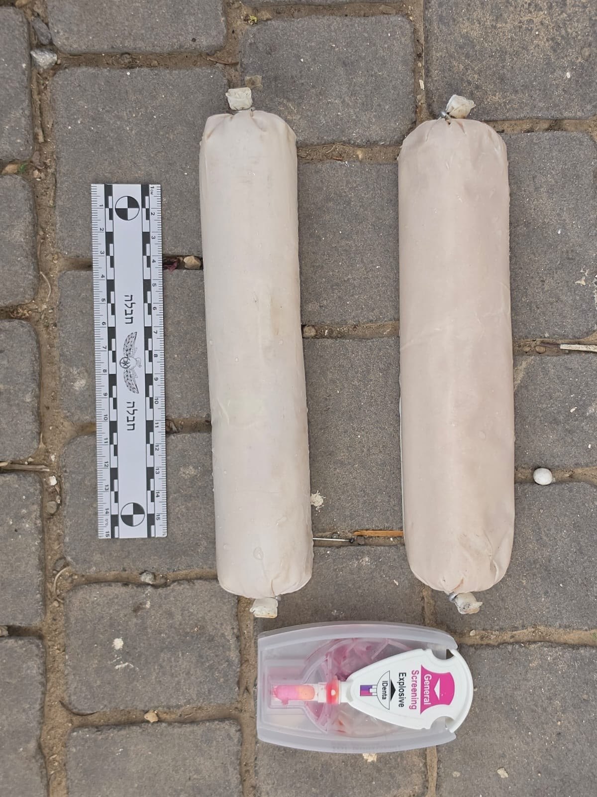 (צילום: דוברות המשטרה)