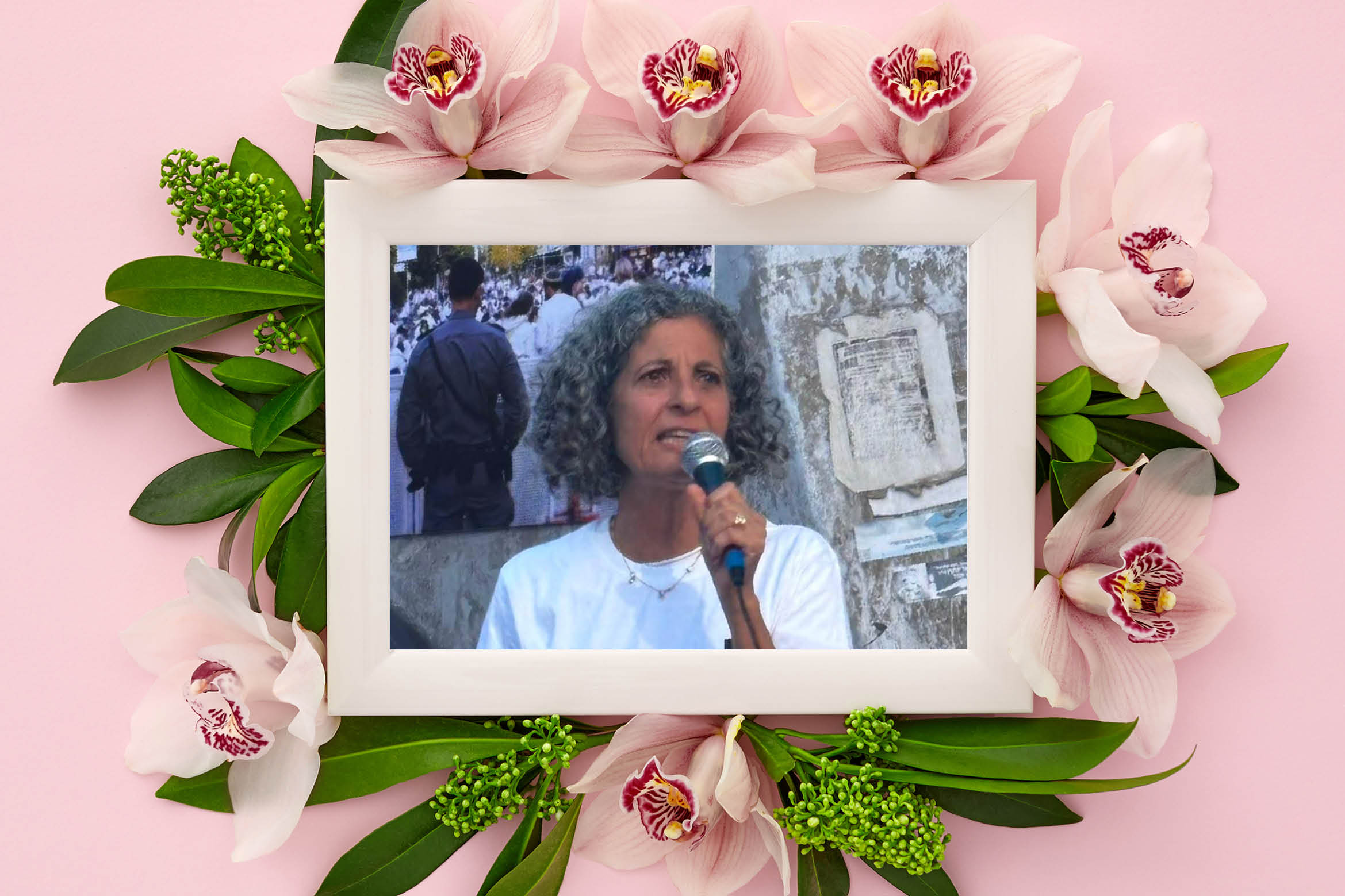 ויקי כהן